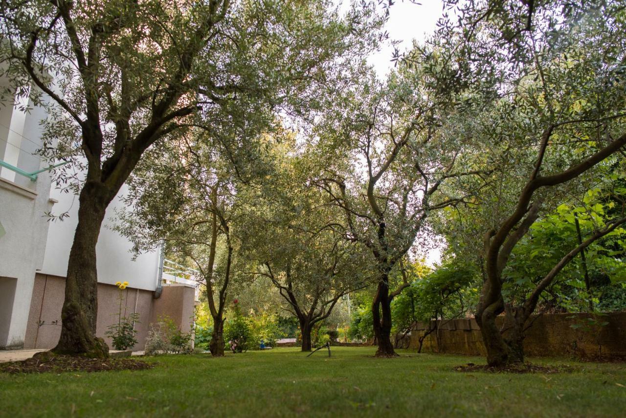 Apartments Villa Lena Zadar Luaran gambar